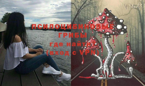 гашишное масло Заводоуковск