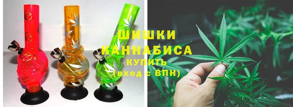молекула духа Ельня