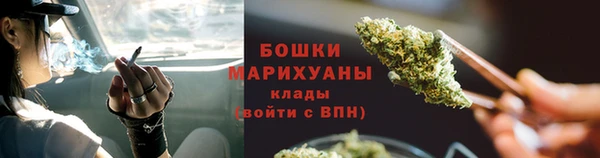 молекула духа Ельня
