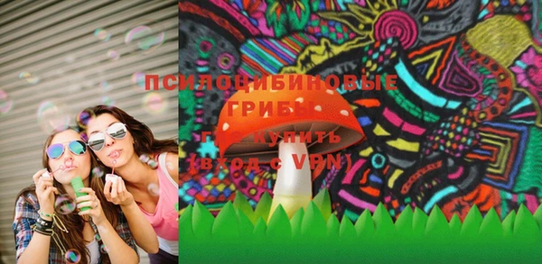 молекула духа Ельня