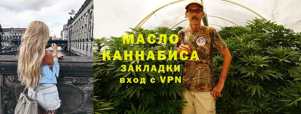 молекула духа Ельня