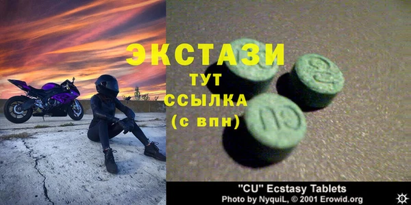 молекула духа Ельня